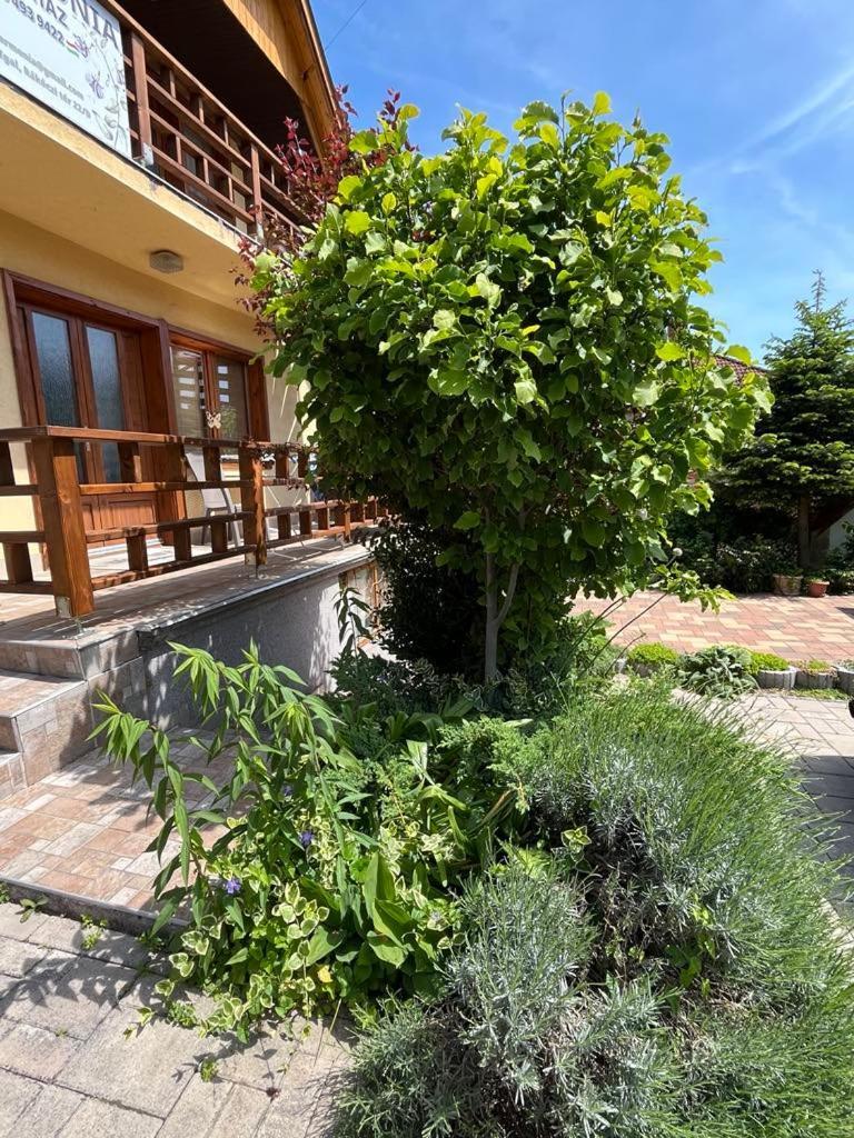 Apartamento Harmonia Vendeghaz 100 Meterre Az Igali Gyogyfuerdotol Exterior foto